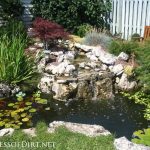 beautiful backyard pond ideas for all budgets | medium size inground garden LCWQTRV