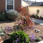 beautiful drought resistant landscaping ideas KZBDWHJ