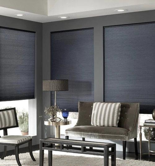 blindsgalore® cordless double cellular shades shown in silver DVCAPJD