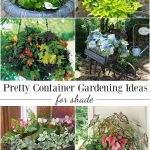 container gardening ideas 12 beautiful ideas for shade-loving flower planters. OUSSLGC