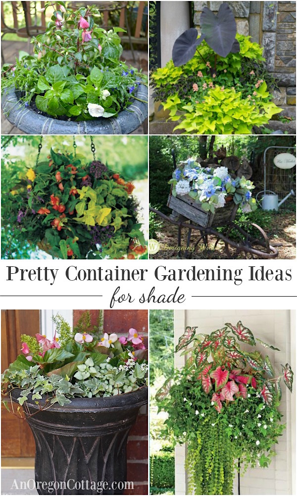 container gardening ideas 12 beautiful ideas for shade-loving flower planters. OUSSLGC