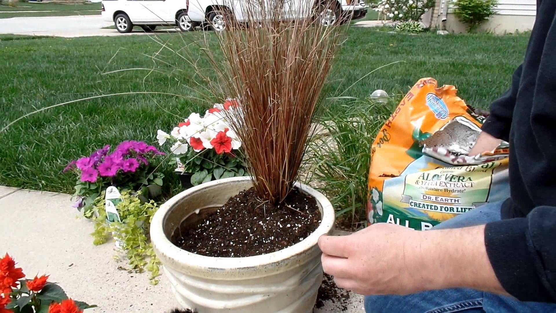 container gardening ideas container gardening idea | fun with flowers - youtube VRNVXPW