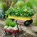 container gardening ideas, pictures u0026 videos | hgtv ZDWXNRG