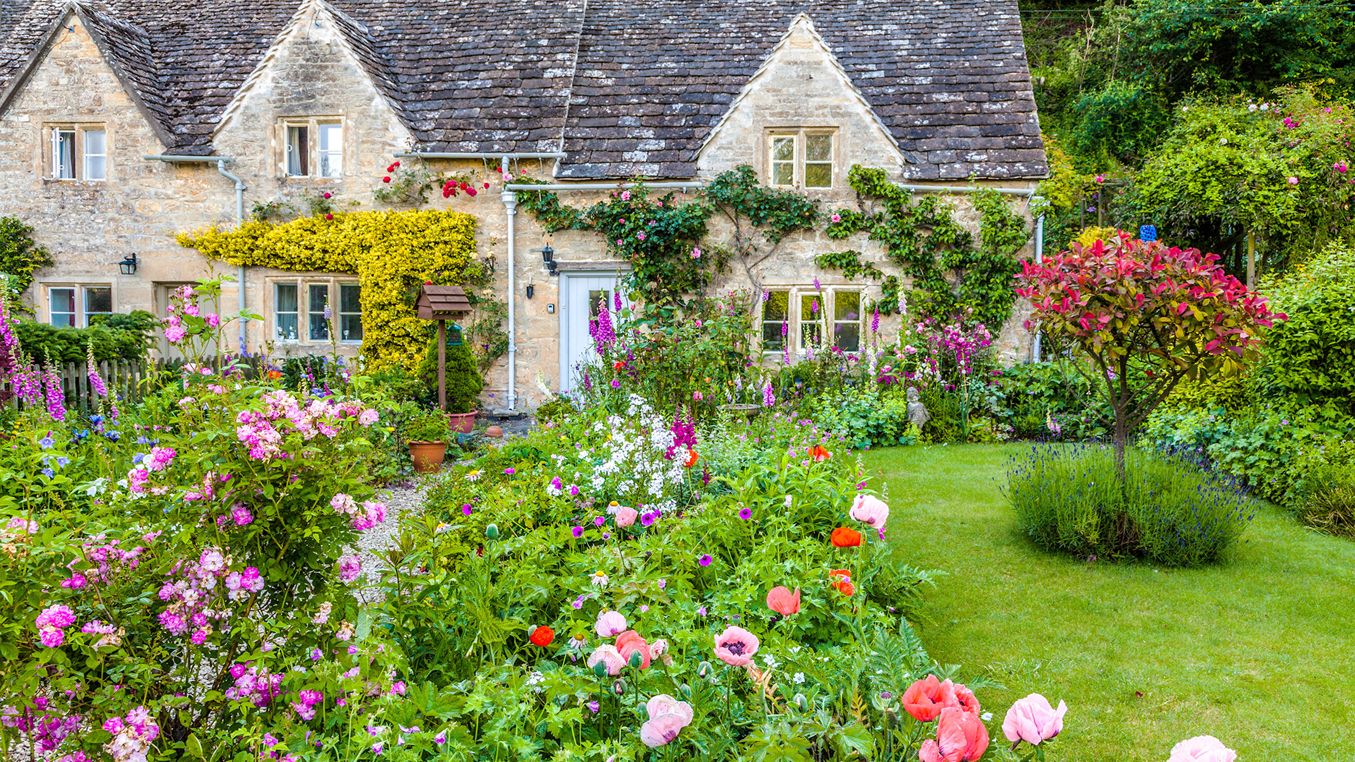 cottage garden the classic cottage country garden is largely a modern creation, with an IHJTTON