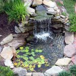 cute water lilies and koi fish in modern garden pond idea with GNWAVUZ