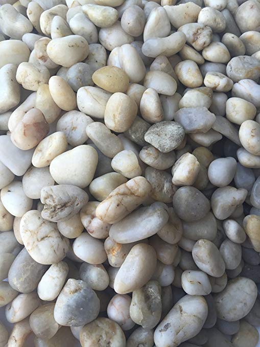 decorative garden pebbles/river rocks used for outdoor landscaping or  indoor projects VEVENDP