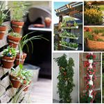 diy garden ideas 40 genius space-savvy small garden ideas and solutions - diy u0026 crafts SACESLD