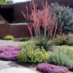 drought resistant landscaping 5 drought-tolerant landscaping ideas for a modern low-water garden -  freshome.com MAHULXR