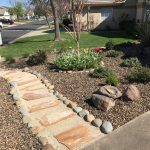 drought resistant landscaping cost of drought tolerant landscaping TPQYGTG