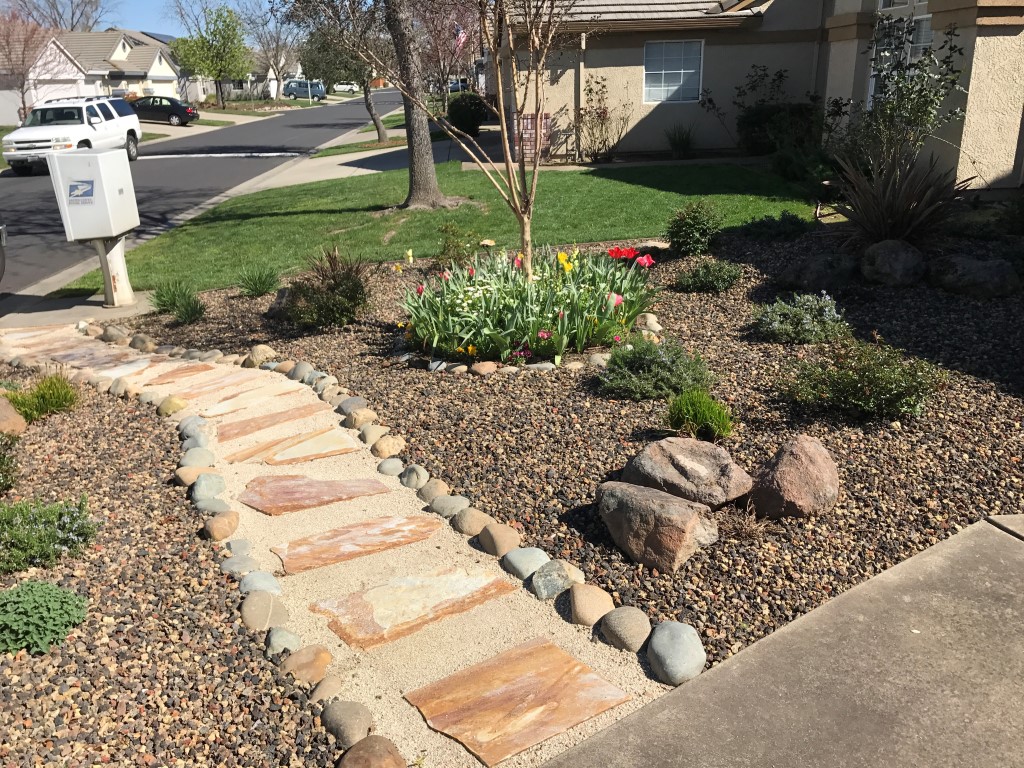 drought resistant landscaping cost of drought tolerant landscaping TPQYGTG