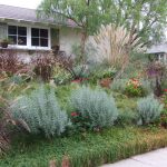 drought resistant landscaping drought resistant and native planting with tolerant landscape design  awesome garden XBZRCEK