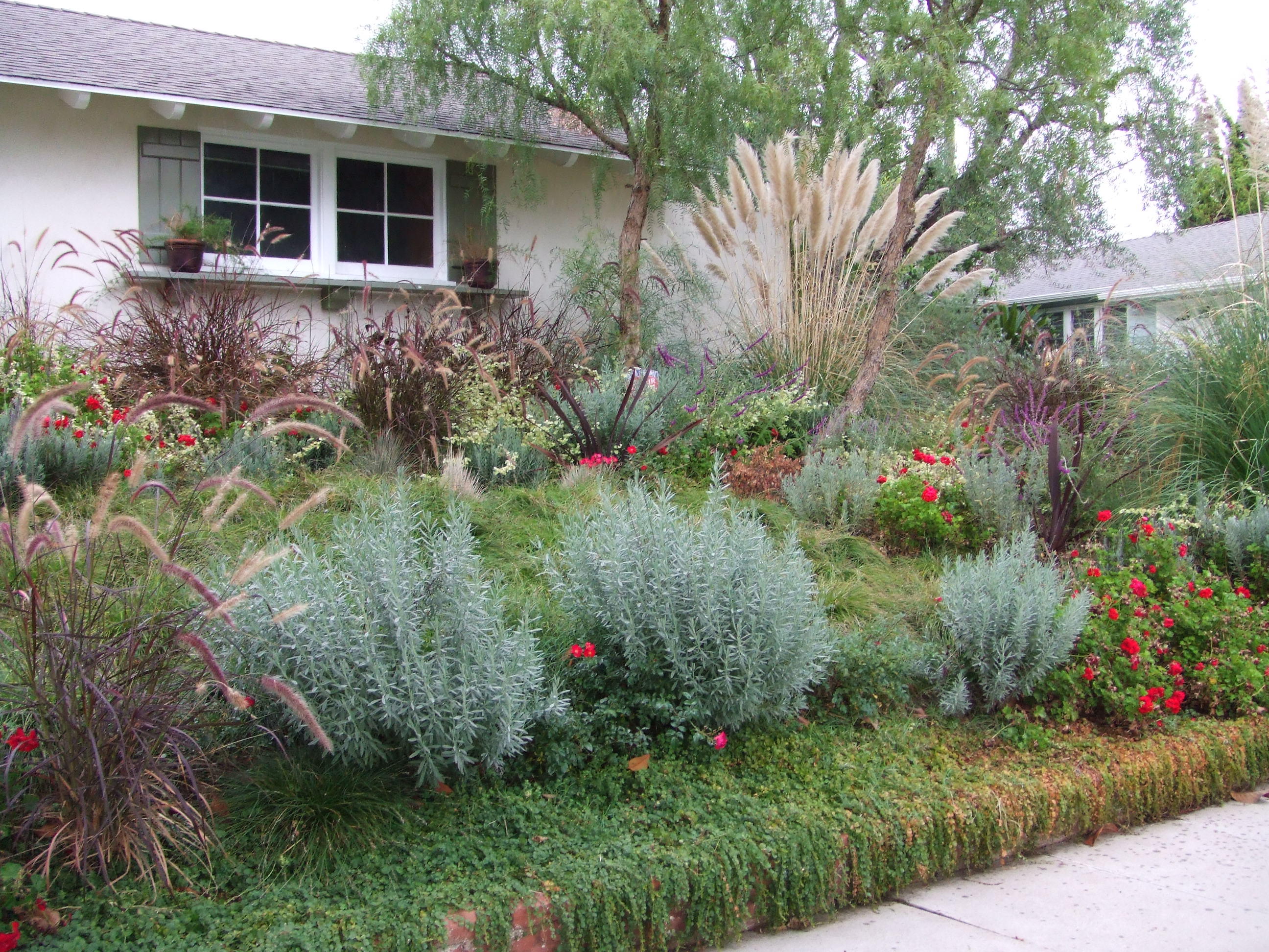 drought resistant landscaping drought resistant and native planting with tolerant landscape design  awesome garden XBZRCEK