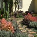 drought resistant landscaping ... drought tolerant landscape design los angeles | garden of eva DOGHVWN