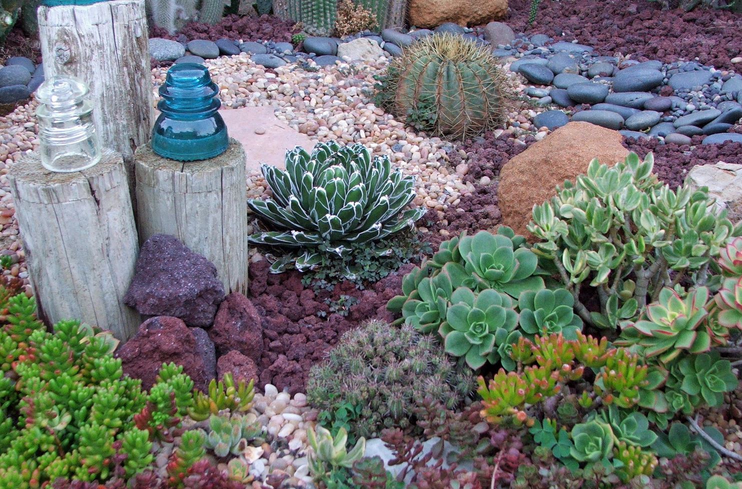 drought resistant landscaping landscaping ideas for a gorgeous, drought-resistant yard LWLZGMP