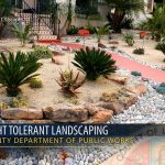 drought resistant landscaping psa - drought tolerant landscaping - youtube YLDZCSG