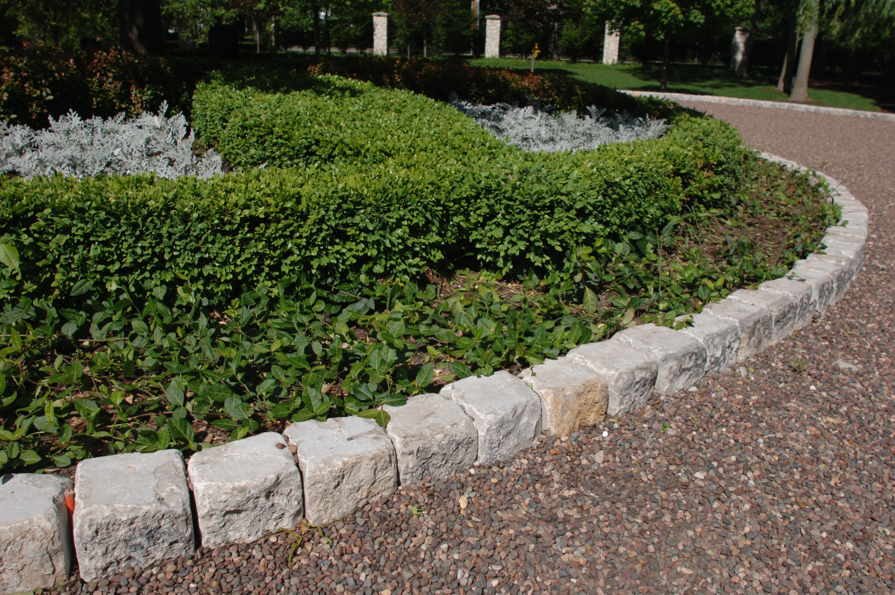 eden lawn edging defines and seperates your planting areas from other WDUIVAG