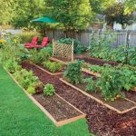 edible landscaping: how to eat your yard YFJJEII