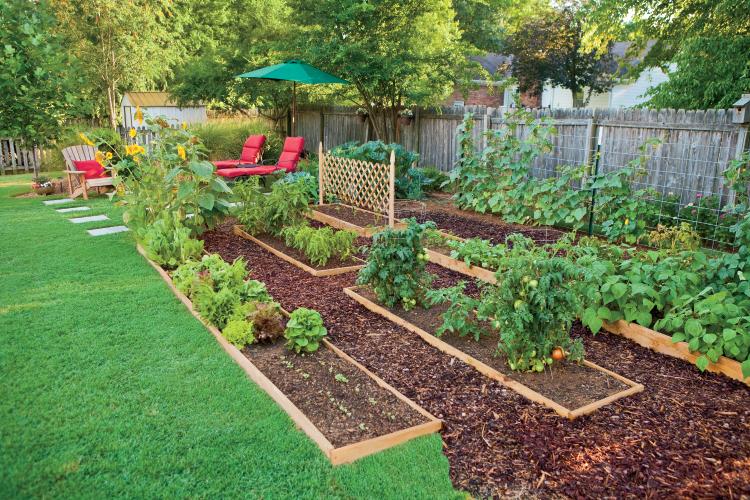 edible landscaping: how to eat your yard YFJJEII