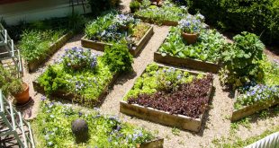 edible landscaping plant a square foot vegetable garden NCEXEJG