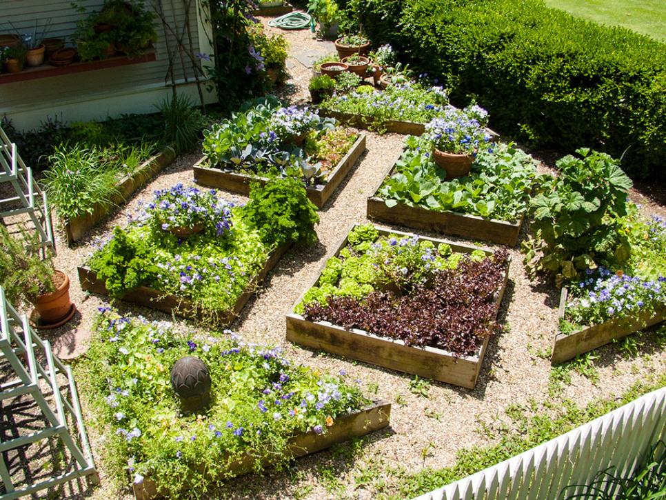 edible landscaping plant a square foot vegetable garden NCEXEJG