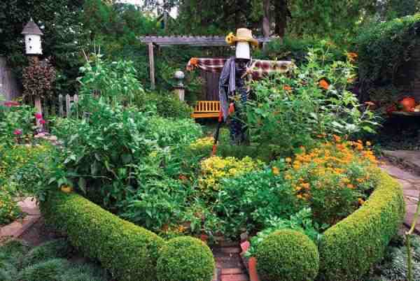 edible landscaping scarecrow and hedges VLZWFSZ