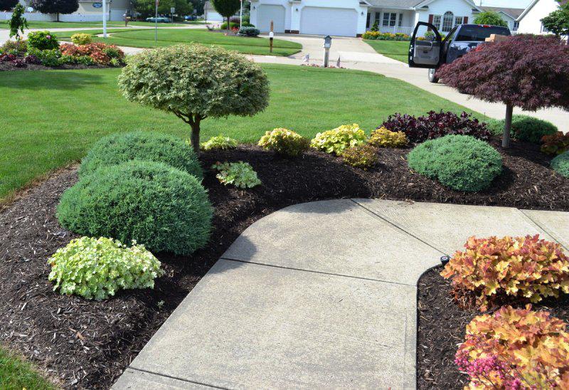 evergreen landscaping evergreen lawn and landscape BMDNAJY