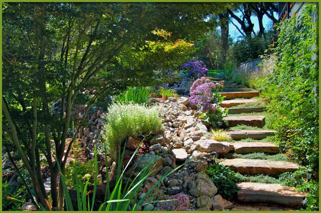 evergreen landscaping is a full big image GEUYXSL
