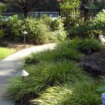 evergreen landscaping - residential, commercial u0026 sustainable landscape  design services in KUVNGDB