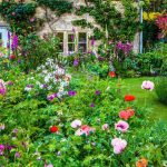 floral cottage garden MQYTCIV