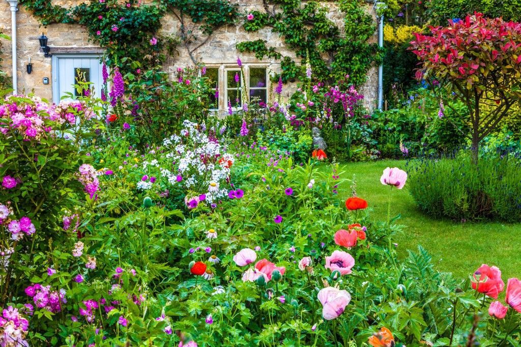 floral cottage garden MQYTCIV