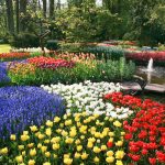 flower beds 25 magical flower bed ideas and designs XQAKLCA