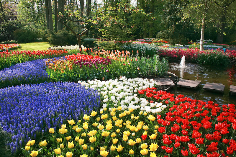 flower beds 25 magical flower bed ideas and designs XQAKLCA