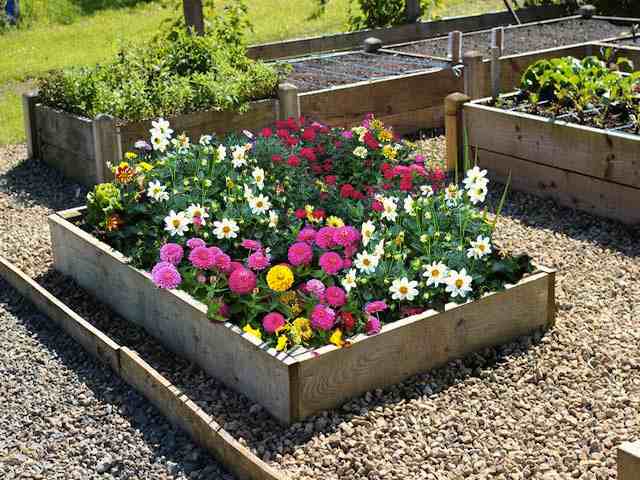flower beds 9 inch high timber raised flower bed NHKUGXW