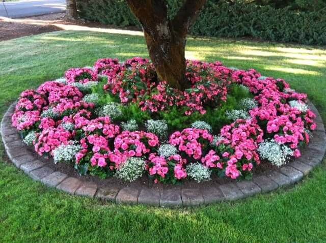 flower beds circular shade-loving annuals flower bed IDLNVHH