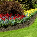 flower beds clearing weeds from flower bed OMEGVOI