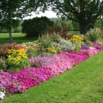 flower beds flower bed ideas - making garden beds OGDFBBY