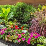 flower beds low-profile flower bed along sidewalk TOYPRKI