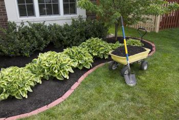 flower beds prevent weed seeds from reaching the bare soil by using mulch and CMNQMBE