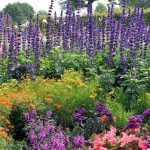 flower garden designs flowers, garden, purple spires garden design calimesa, ca ZKAHUGG