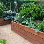 garden bed ideas 41 backyard raised bed garden ideas BJAKRET