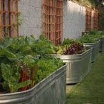 garden bed ideas watering trough raised beds OWGDAFK