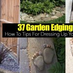 garden border edging 37 garden border ideas to dress up your landscape edging JAWQWAO