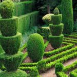 garden hedges living sculpture: hedges can be purely practical, providing privacy, or a PJTTCNP