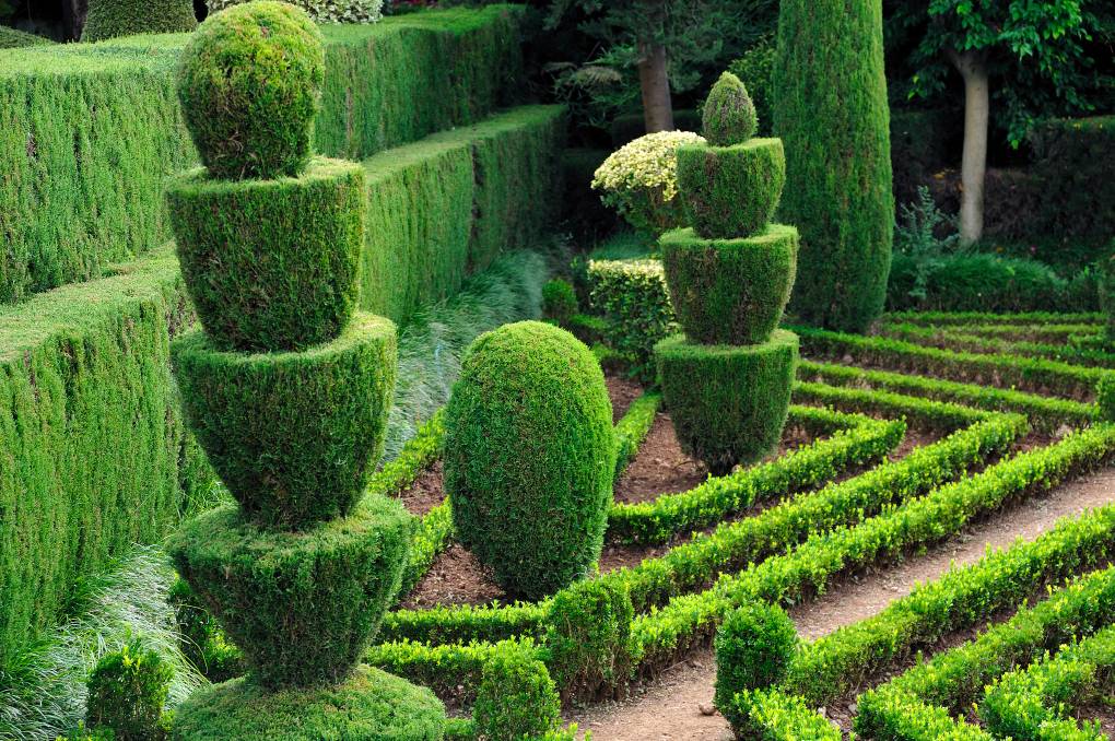 garden hedges living sculpture: hedges can be purely practical, providing privacy, or a PJTTCNP