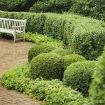 garden hedges the sculptured shape of the rounded hedges in this garden complement the XWKAUNI
