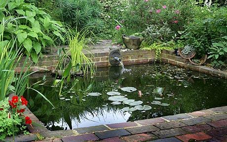 garden pond, gardening: BAXWQKO
