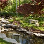garden pond you have installed your pond-preformed or concrete, sunken or raised-but  your ACHYNVJ