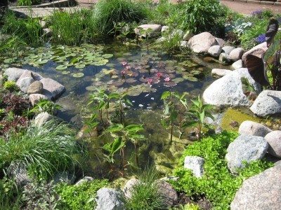 garden ponds miniature ponds - how to build a small pond in your garden YTGMQID
