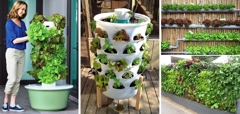 gardening ideas 20+ vertical vegetable garden ideas HOWOEUW