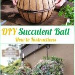 gardening ideas diy hanging succulent ball sphere planter instruction- diy indoor succulent garden CTNEFMI